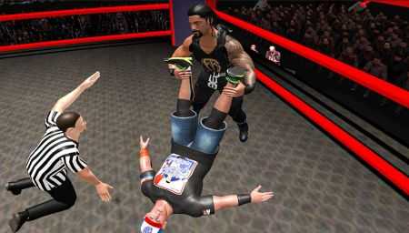摔跤战斗进化3D（Wrestling Fight Revolution 3D）