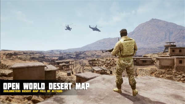 沙漠风暴行动（Desert Storm Operation）