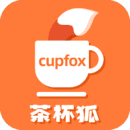 茶杯狐官网版app