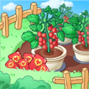 来种小番茄-天降红包