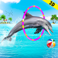 Dolphin Water Stunts Show(海豚水上特技表演)