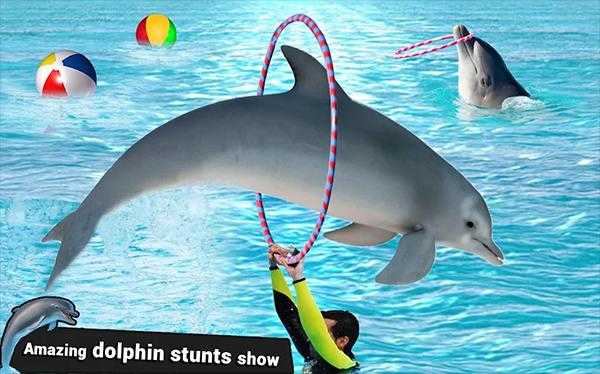 Dolphin Water Stunts Show(海豚水上特技表演)